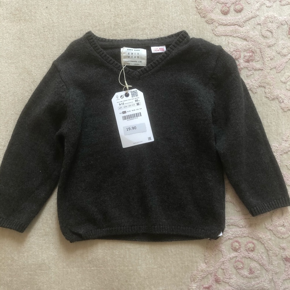 Zara V-neck sweater NWT